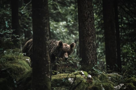 federico-di-dio-photography-WvwH82-uX_Q-unsplash