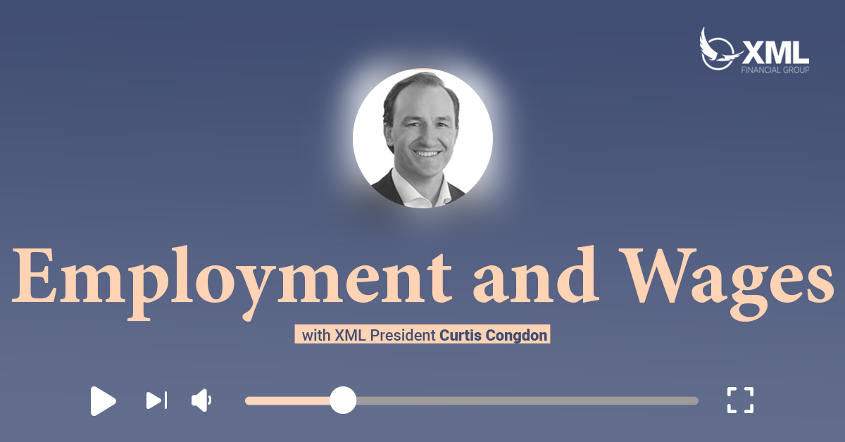 XML Wealth Insights: Employment and Wages