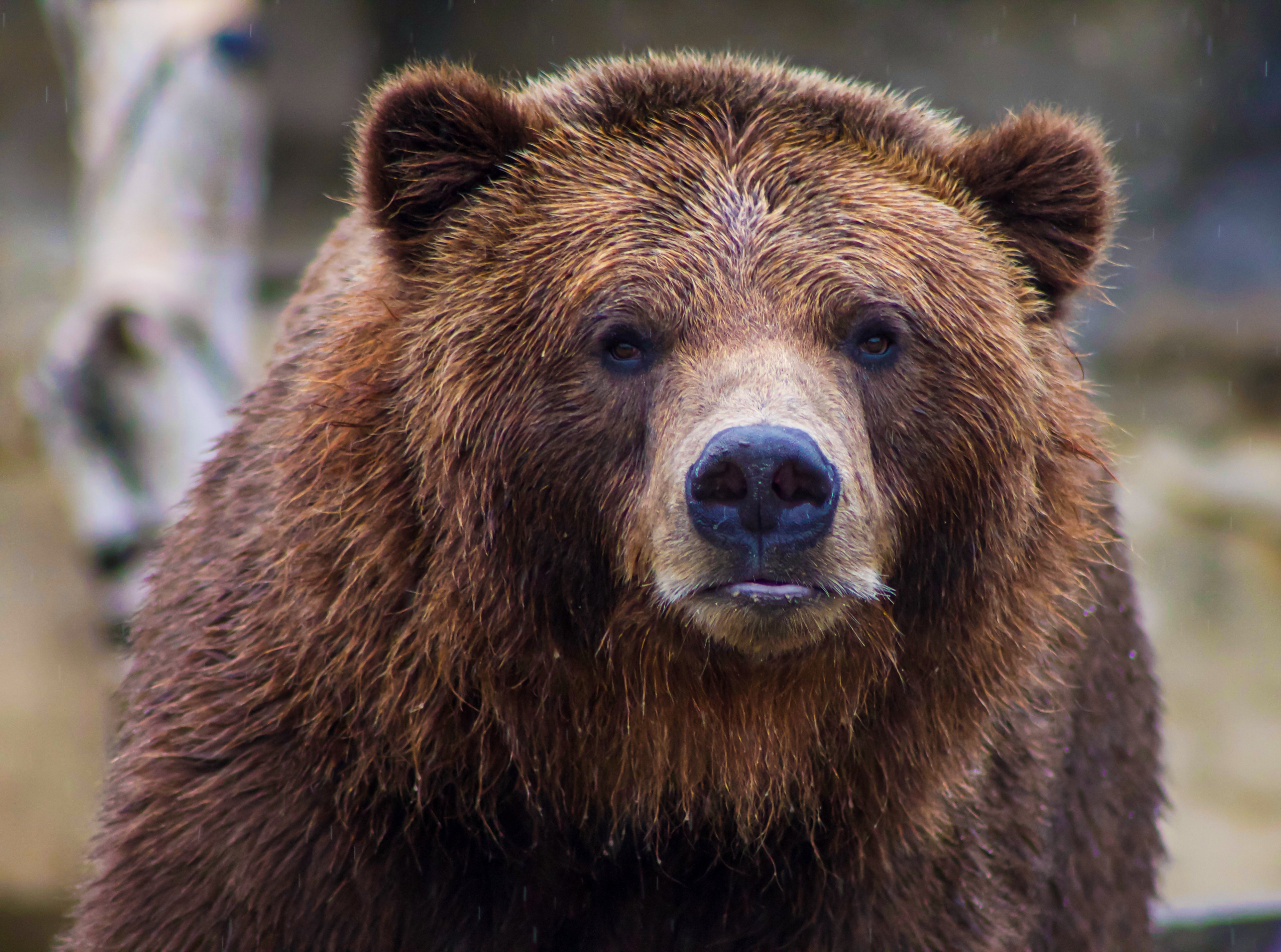 5 Tips for Retiring in a Bear Market